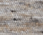 Preview: custom made carpet Eisacktal 4060