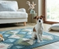 Preview: MonTapis waschbarer Teppich Lawson blau