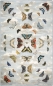 Preview: Teppich Designers Guild John Derian Mirrored Butterflies Sky