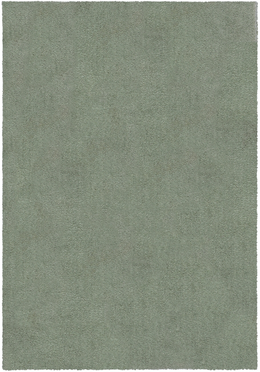 Machine washable Rug MonTapis Snuggly sage